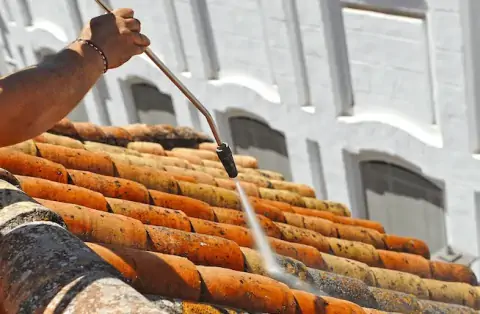 Nettoyage de toitures - Toussus-le-Noble